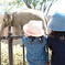 動物園