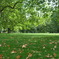 Hyde Park, LONDON
