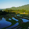 うへ山の棚田