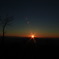 夕焼け