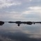 miRRor VieW