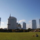 幕張の公園
