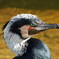 DSCN0234
