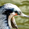 DSCN0206