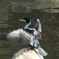 DSCN0749