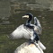 DSCN0755