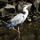 DSCN0606