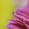 C196B557-8F24-4E2B-A2AD-7C90F6FBA173