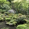 三千院の庭