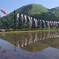 山間のこいのぼり