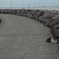 長部田海床路とその主
