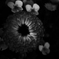 DCR02-002-34