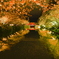 米沢城の夜桜
