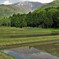伊吹山から恵みの水