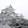 雪の城