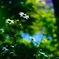 36991B72-C287-4AE4-90AB-B4778304151B