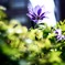 A1396768-53B8-4E21-B8F3-40033186B29D