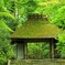 緑の山門
