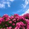 B01C30D0-1D7E-441C-8544-21A7CECCA341