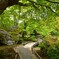 緑風の庭【宝厳院】