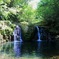 緑の楽園