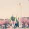白鳥台の桜まつり