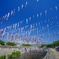 春の終わり夏の始まり