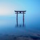 白髭神社の夜明け