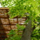 DSC00802