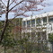 和歌山廃校...桃山町立桃山小学校