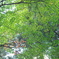 IMGP0184