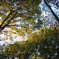 IMGP0223