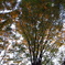 IMGP0228