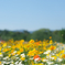 DSCF2858_1