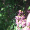 DSCF2876