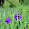 DSCF2898