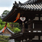 唐招提寺寸景（２）