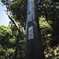 トモガシマ