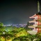 新倉富士浅間神社からの夜景