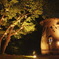ムーミン谷の夜