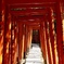 根津神社