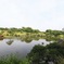 水前寺公園