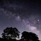 こぼれおちそうな星空