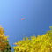 秋の空