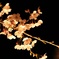 4849753D-ADE4-4784-923B-E1F0C449D94B