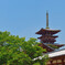 薬師寺　西塔