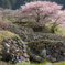 山里の春