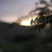 Coucher de soleil pluvieux