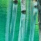 青池