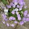 13484894-874B-44C2-A2C0-9D748E102AD2